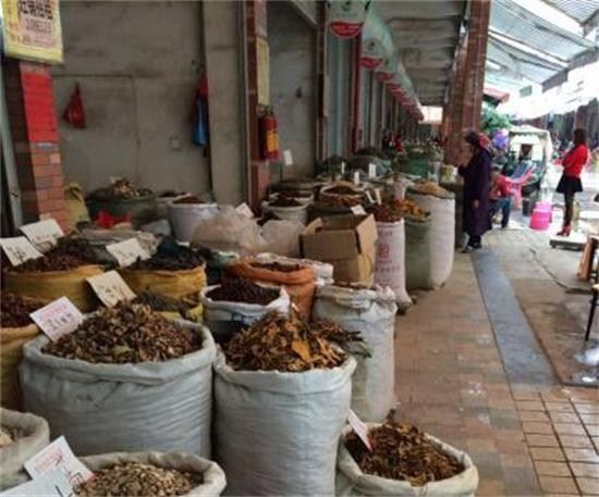 玉林市场10月盘点,调料下滑野生品存商机_中药材天地网