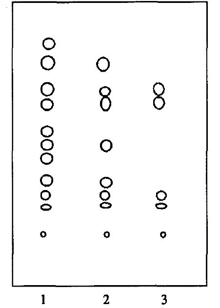 枳棋子的薄层色谱图
