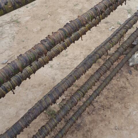 赵*供应地龙_中药材天地网