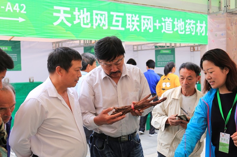 中药材天地网展区人头攒动