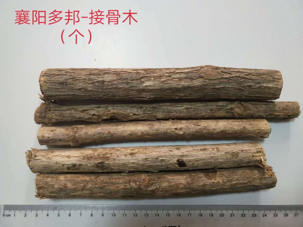 柳长礼供应接骨木_中药材天地网