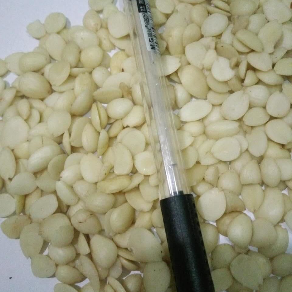 中药材