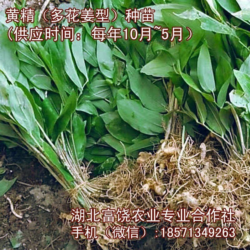产品供应图