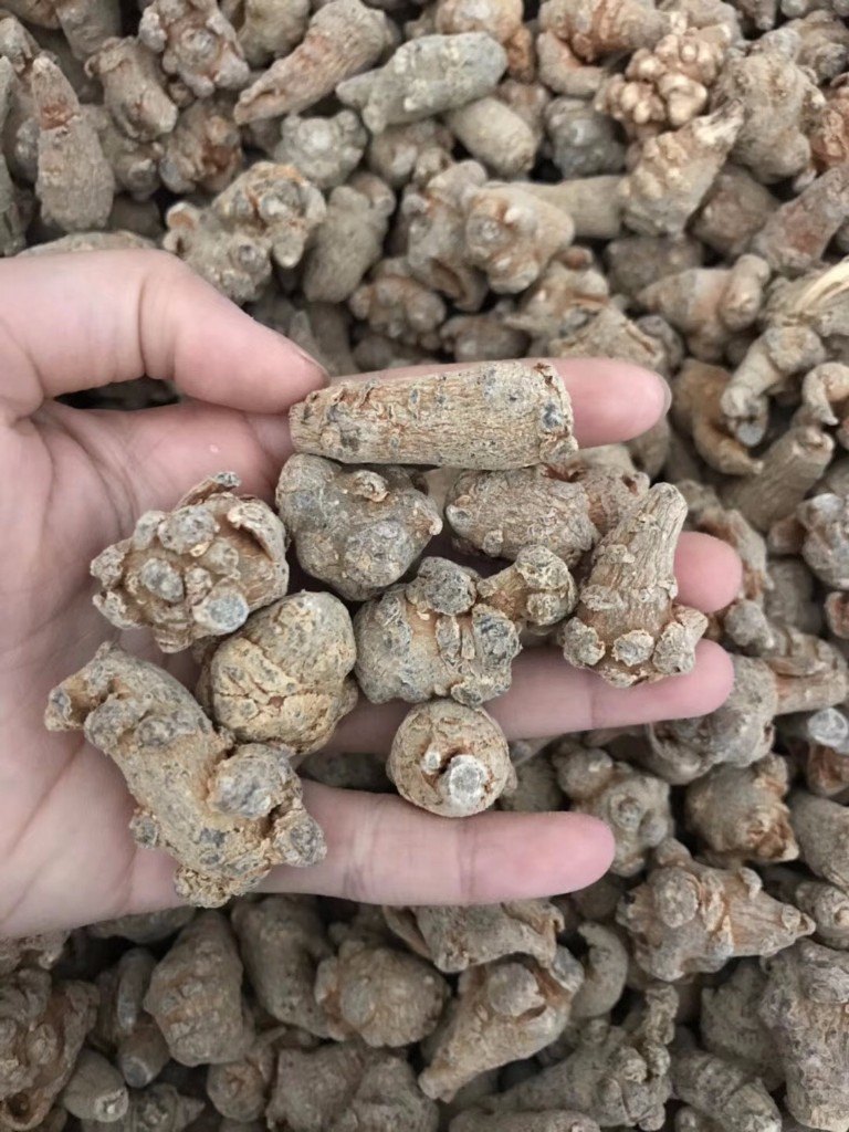 >> 扫描下载并安装 分享到: 无票售价:170元/公斤  规格:  80头滑头七