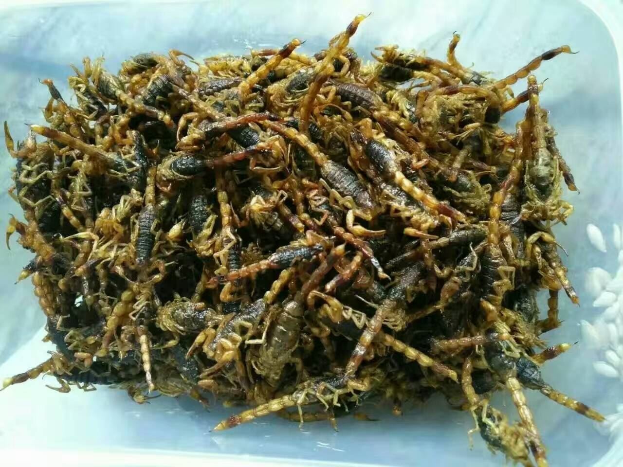中药材