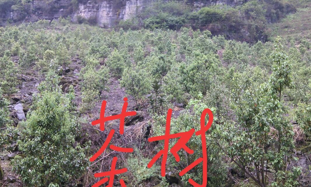 产品供应图