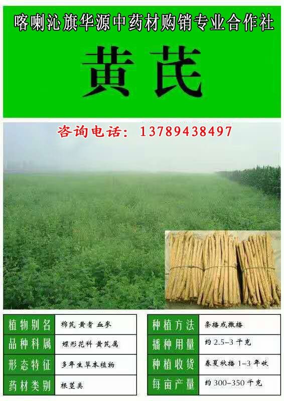 中药材