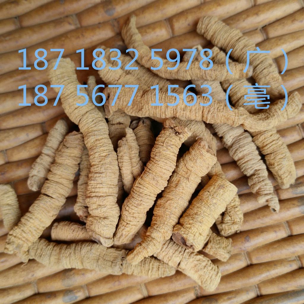 中药材