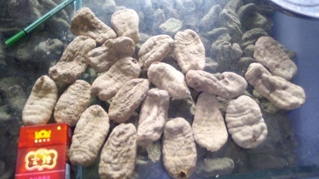 中药材