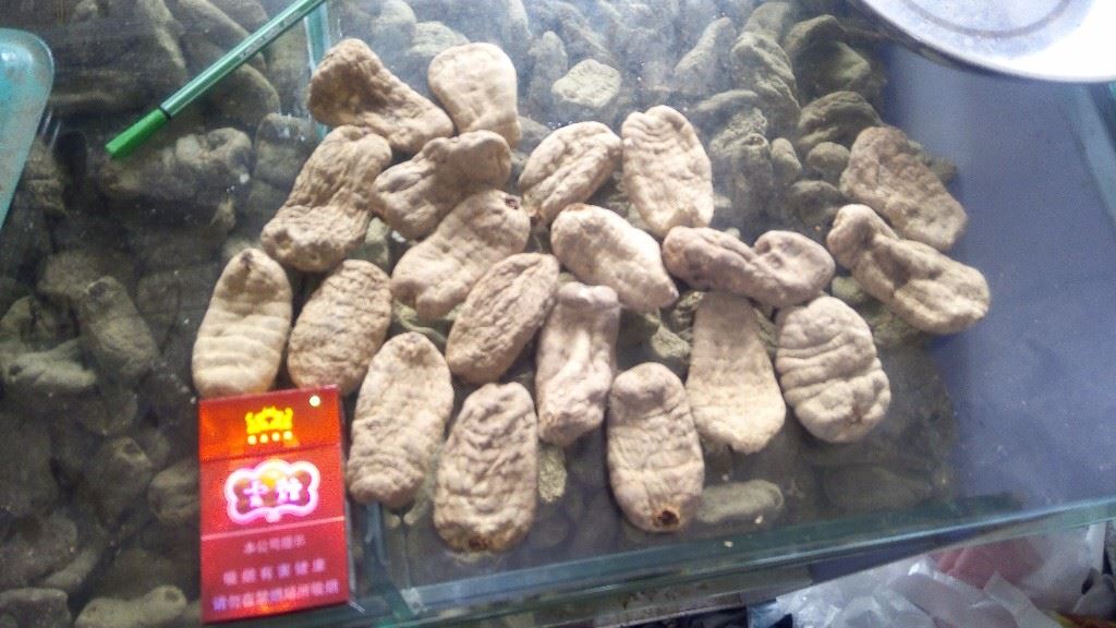 中药材