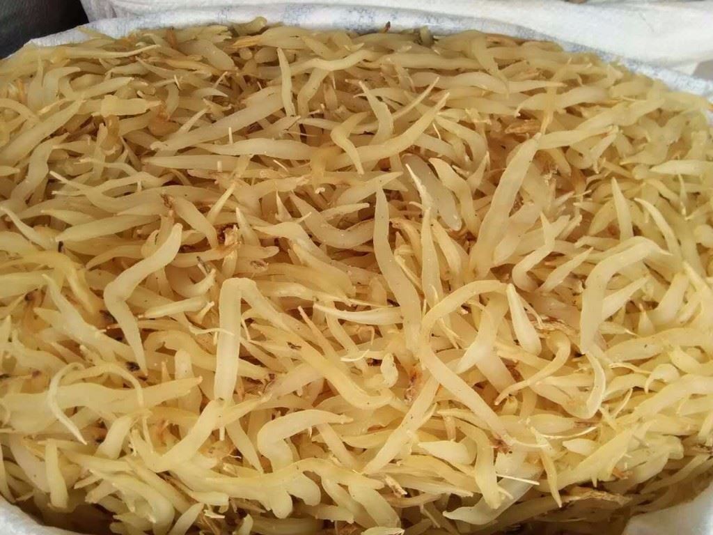 中药材