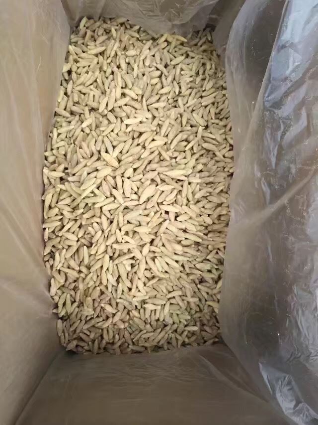中药材