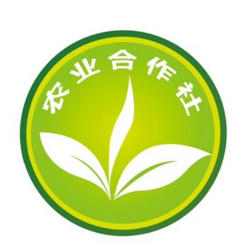 升旭高原绿色种植合作社