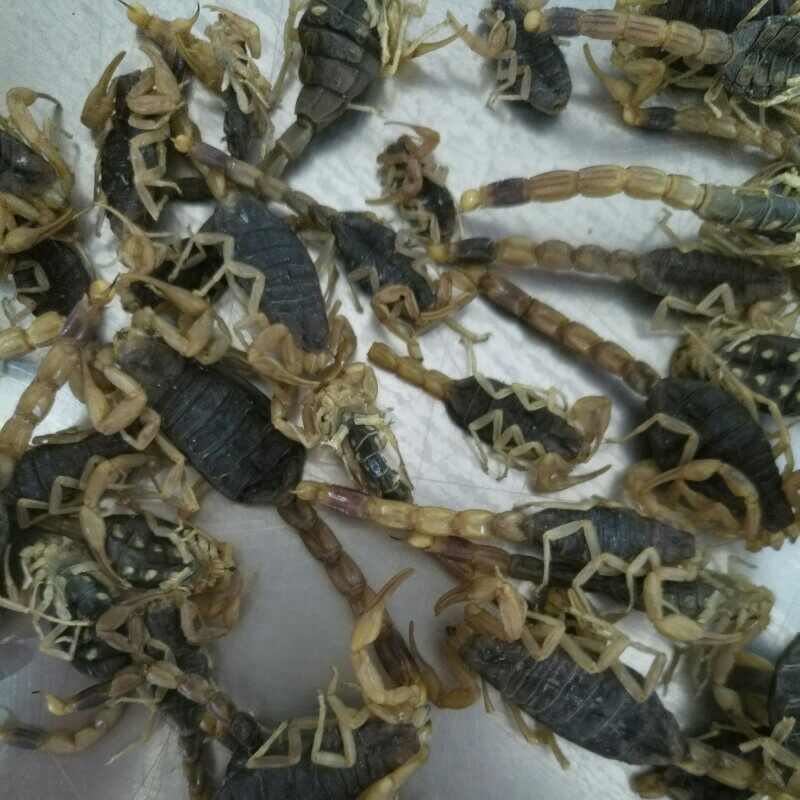 中药材