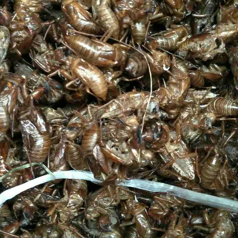 产品供应图