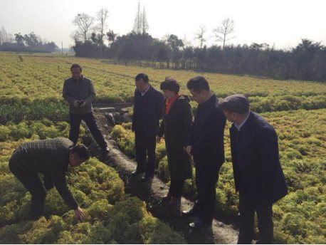 四川省农业厅领导一行莅临天地网(定位)(2)(1)1025