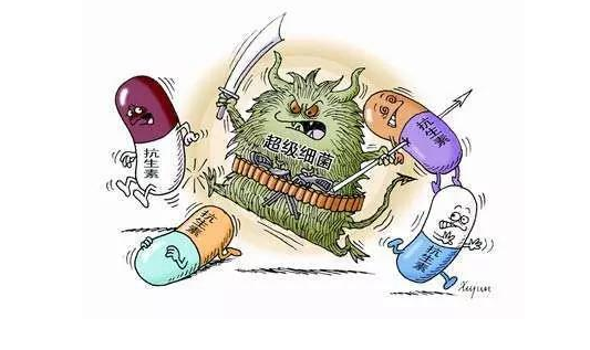 抗生素濫用致超級細菌橫行 中藥材抗生素題材成熱點