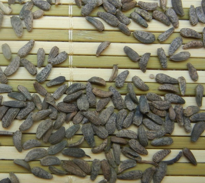 中药材
