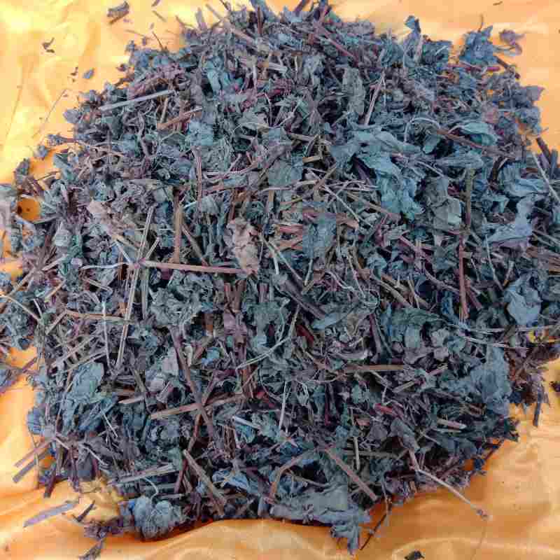 龙王产地供应蛇倒退_中药材天地网