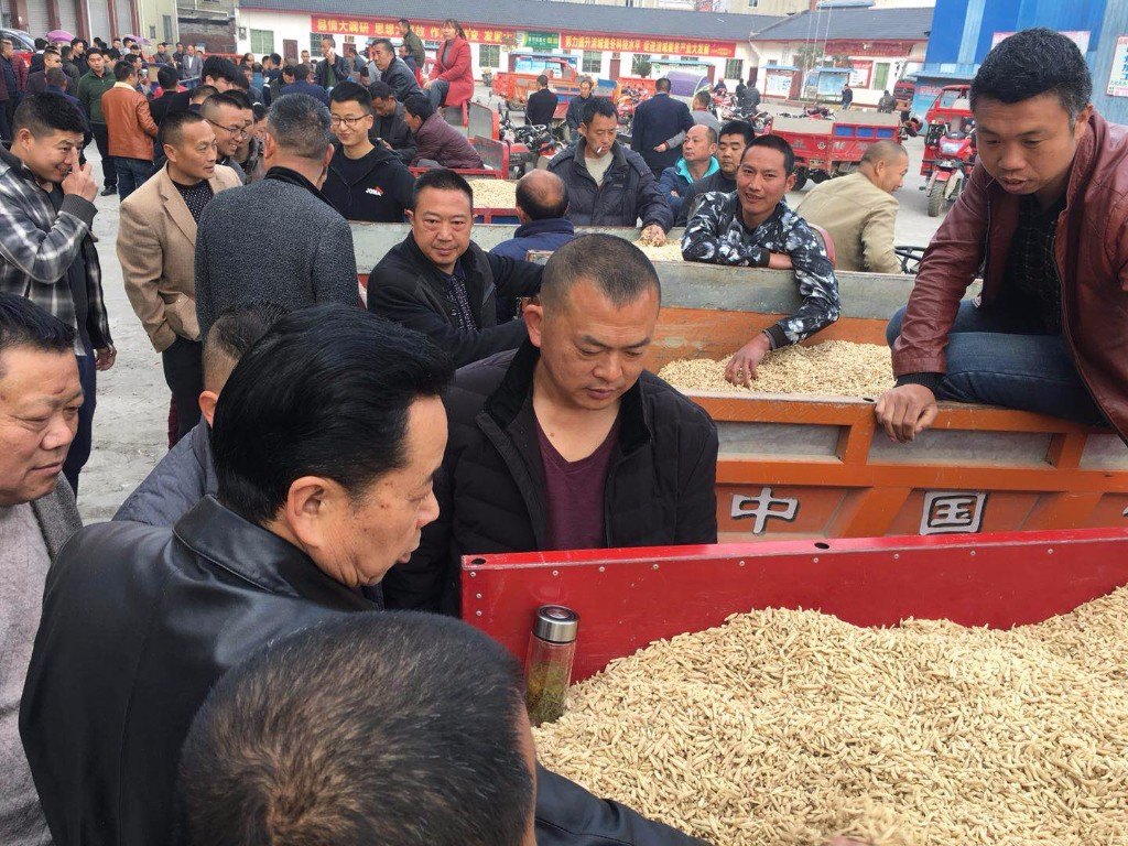 微信图片_20180311165952