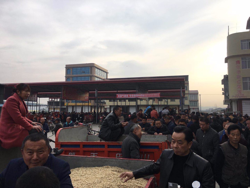 微信图片_20180311170059