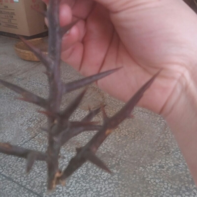 产品供应图