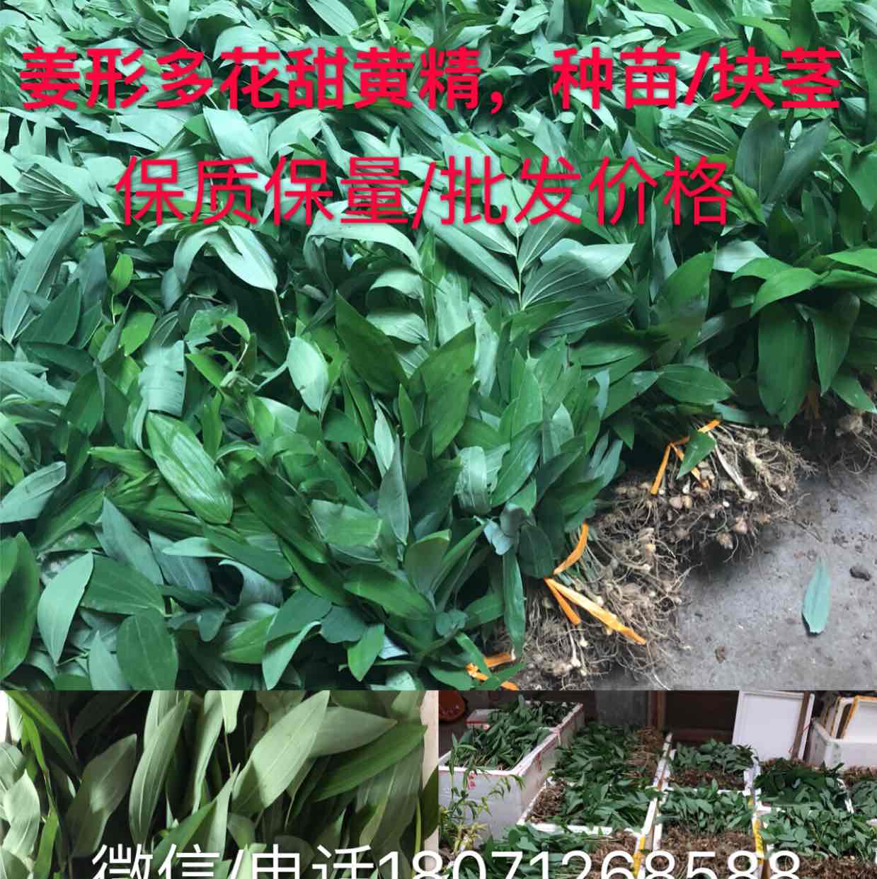 产品供应图