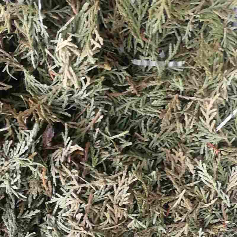 中药材
