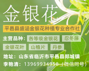 PC供应列表右侧-金银花-1
