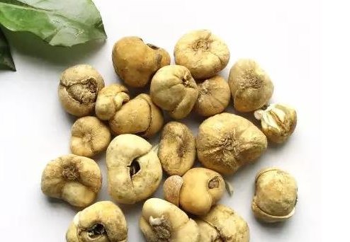 质硬而脆,易折断,断面白色至黄白色,富粉性,气味微苦.   皖贝母,多瓣