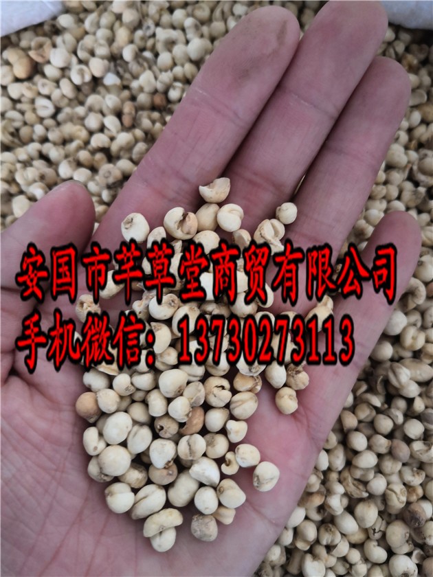 产品供应图