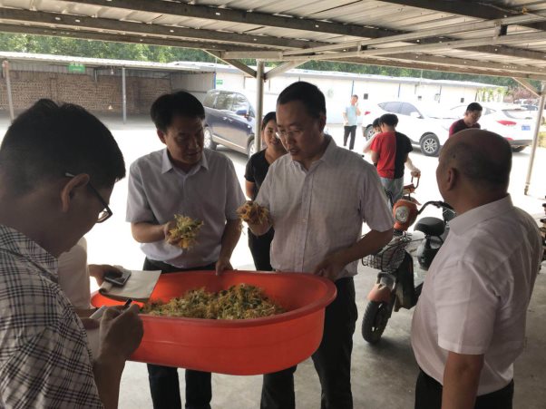 微信截图_20180624205954