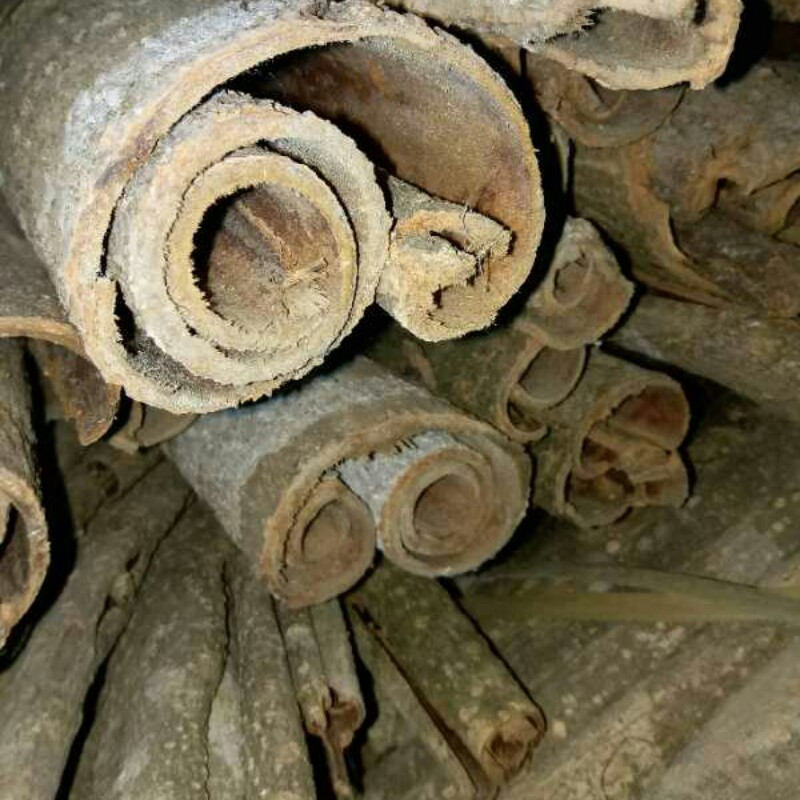 中药材