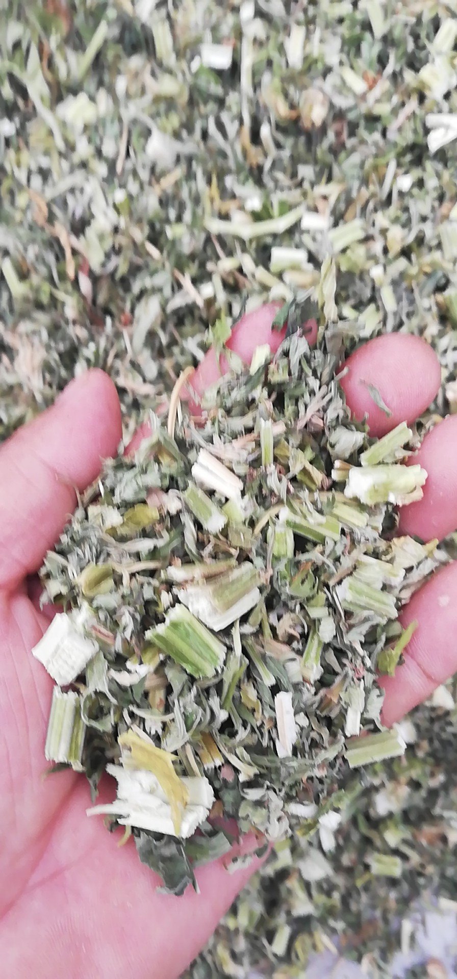 中药材