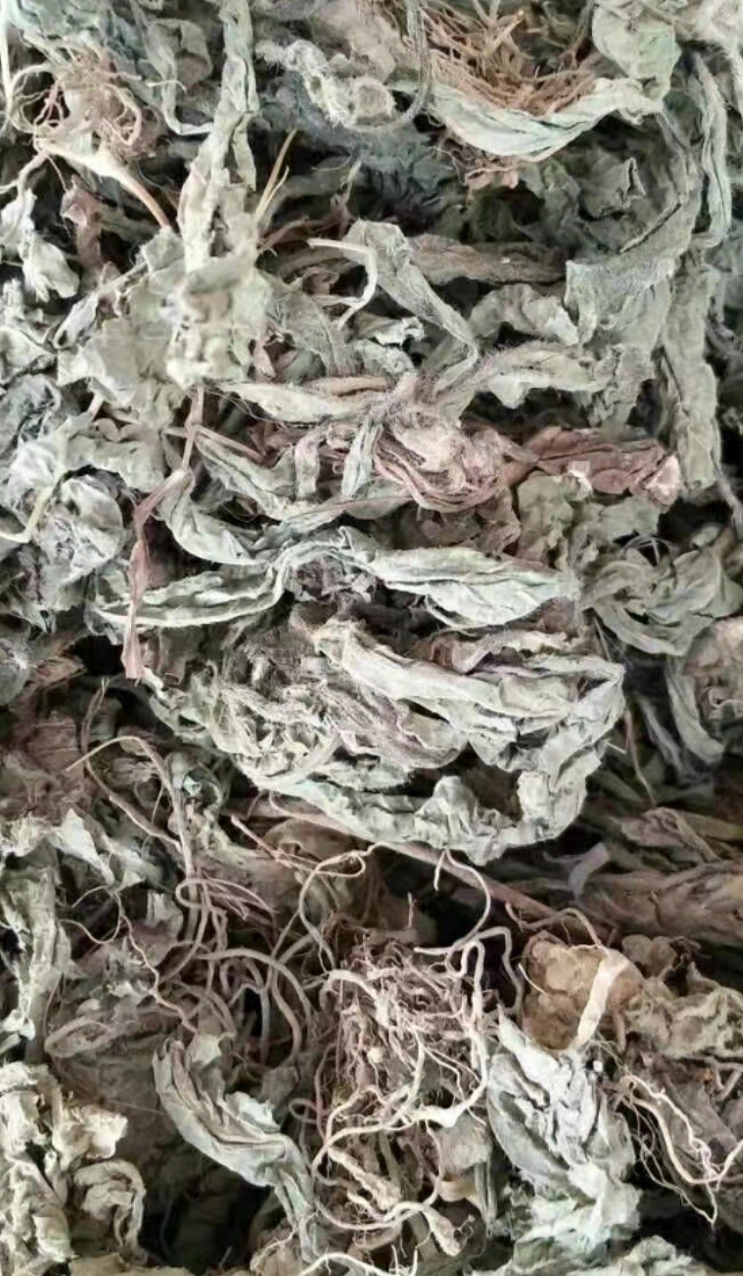 中药材