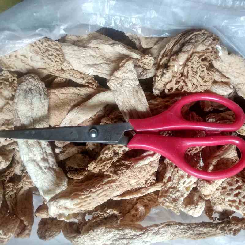 产品供应图