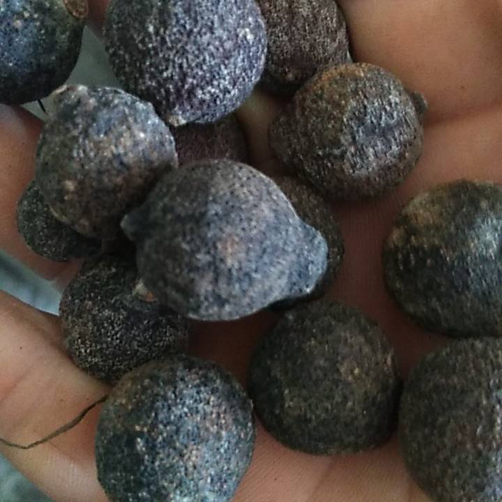 中药材