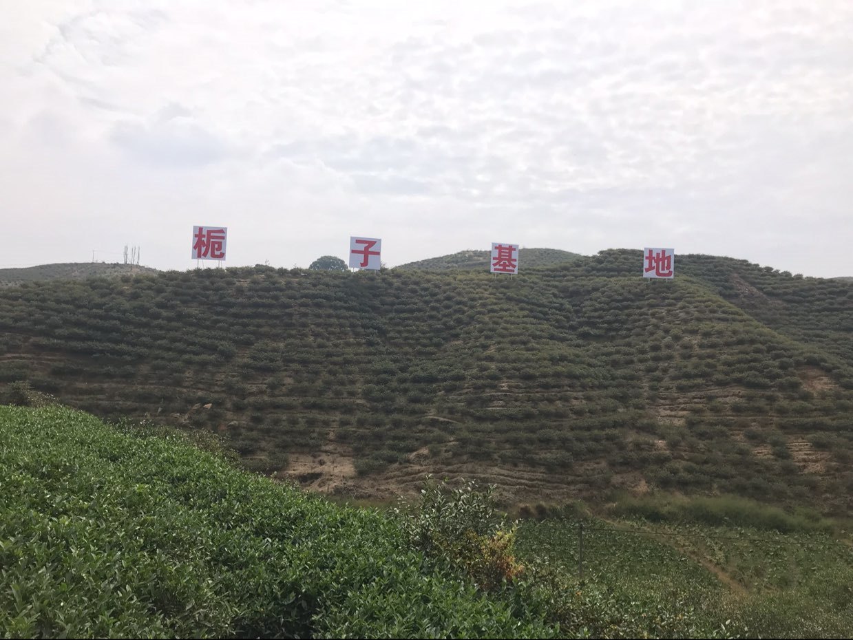 产品供应图