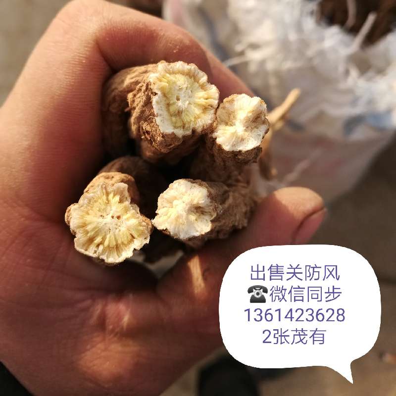 中药材