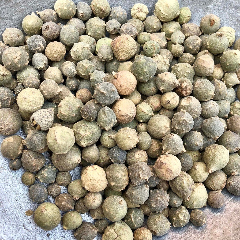 中药材
