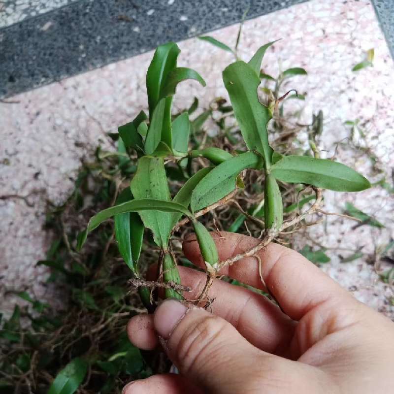 产品供应图