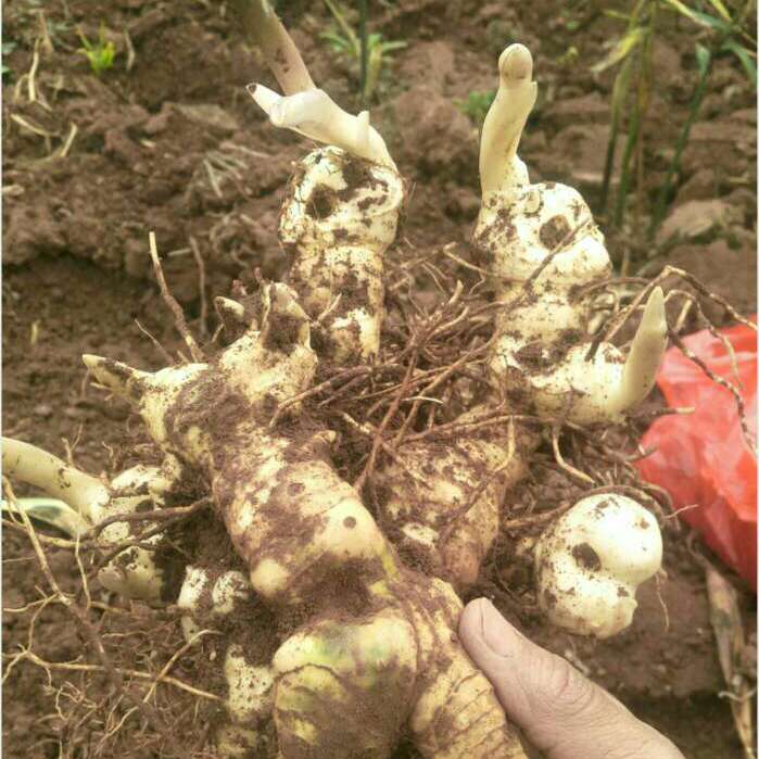 产品供应图