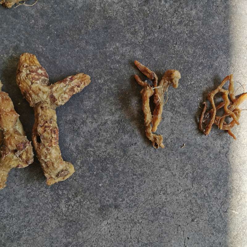 中药材