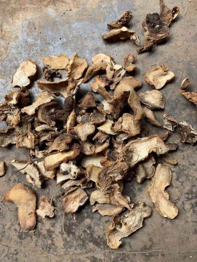 中药材