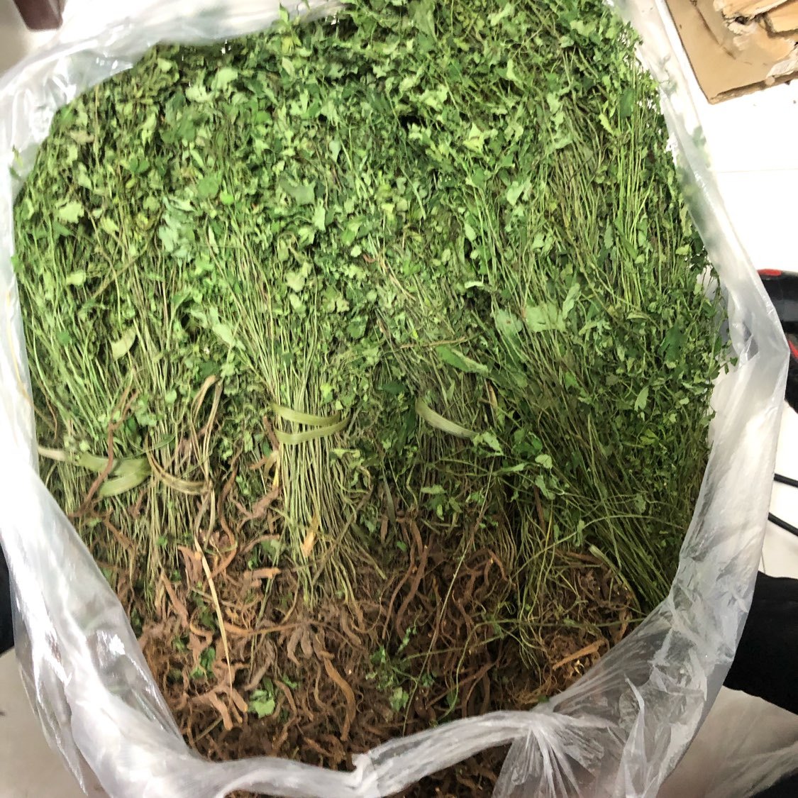 产品供应图