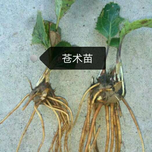 产品供应图