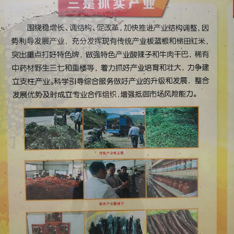 产品供应图