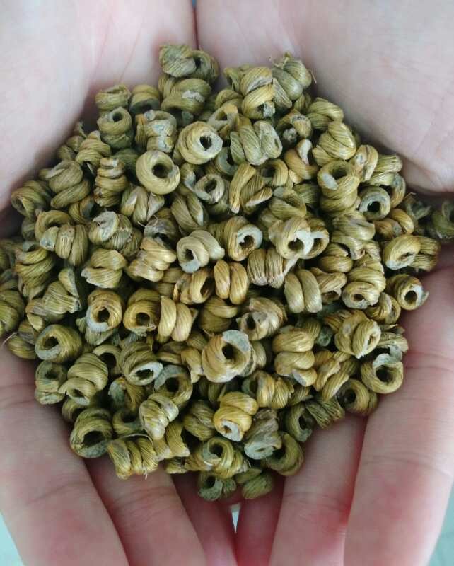 浙江药材有限公司供应铁皮石斛_中药材天地网