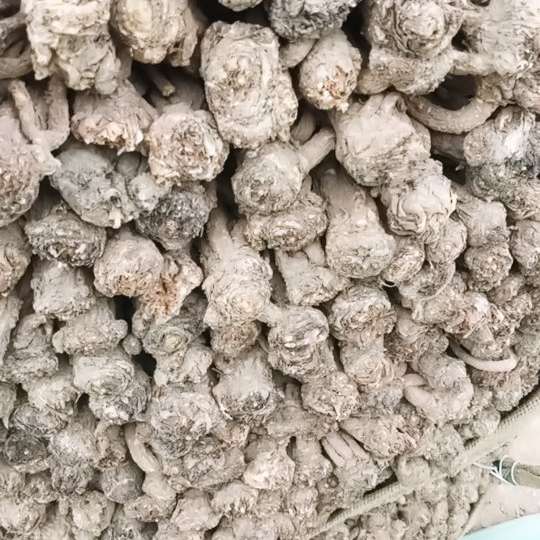中药材