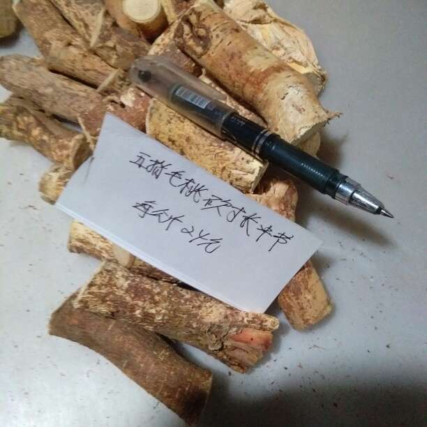 中药材